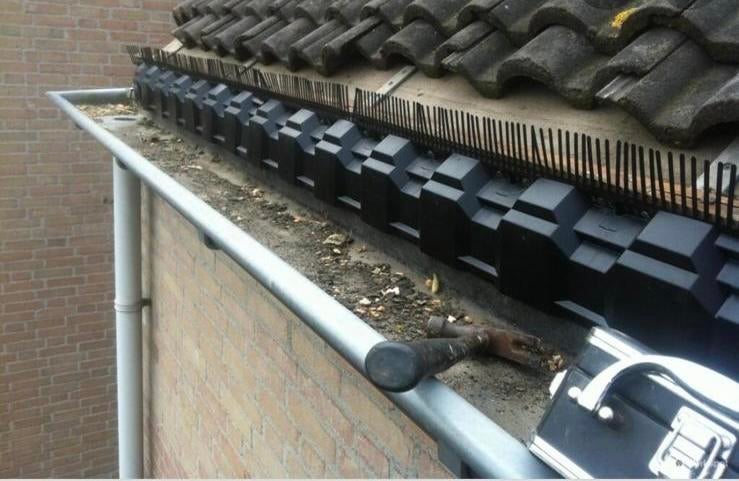 Daklekkage? Vandaag nog opgelost | Dakdekker, Overige materialen, Overige kleuren, Nieuw, Ophalen of Verzenden