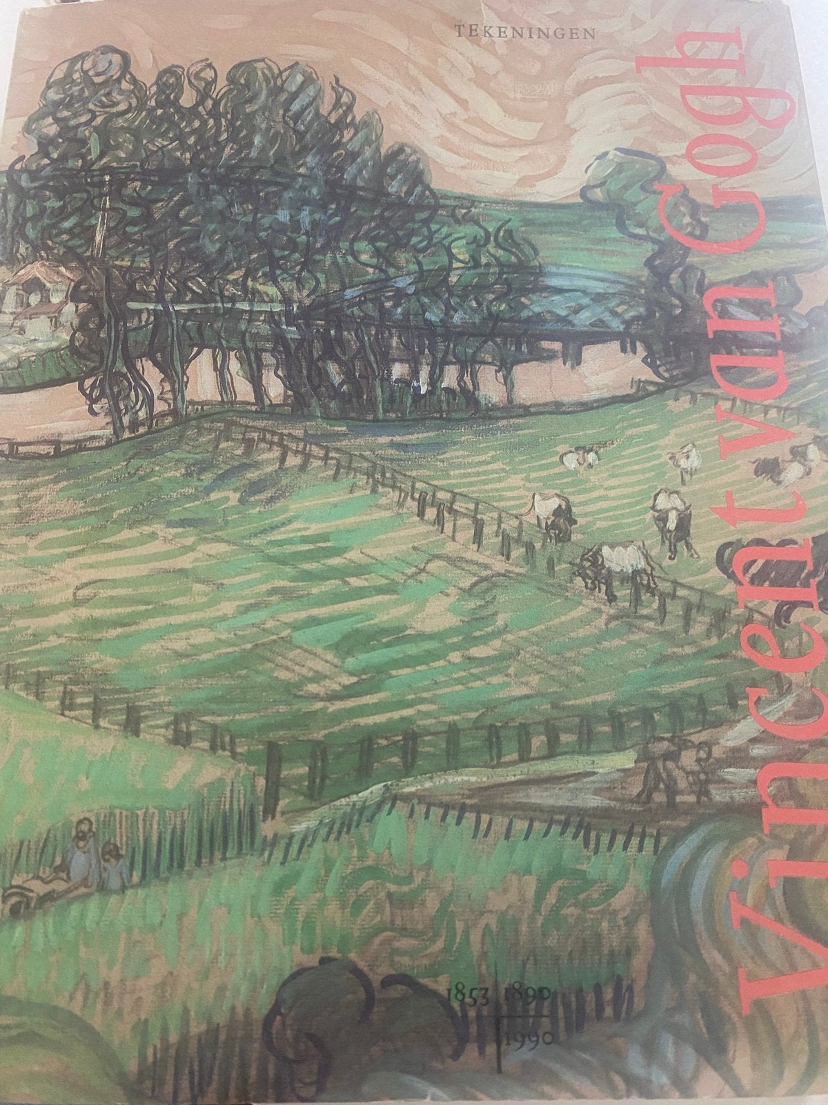 Vincent van Gogh: Tekeningen - Boek over zijn kunst, Ophalen of Verzenden, Gelezen, Schilder- en Tekenkunst