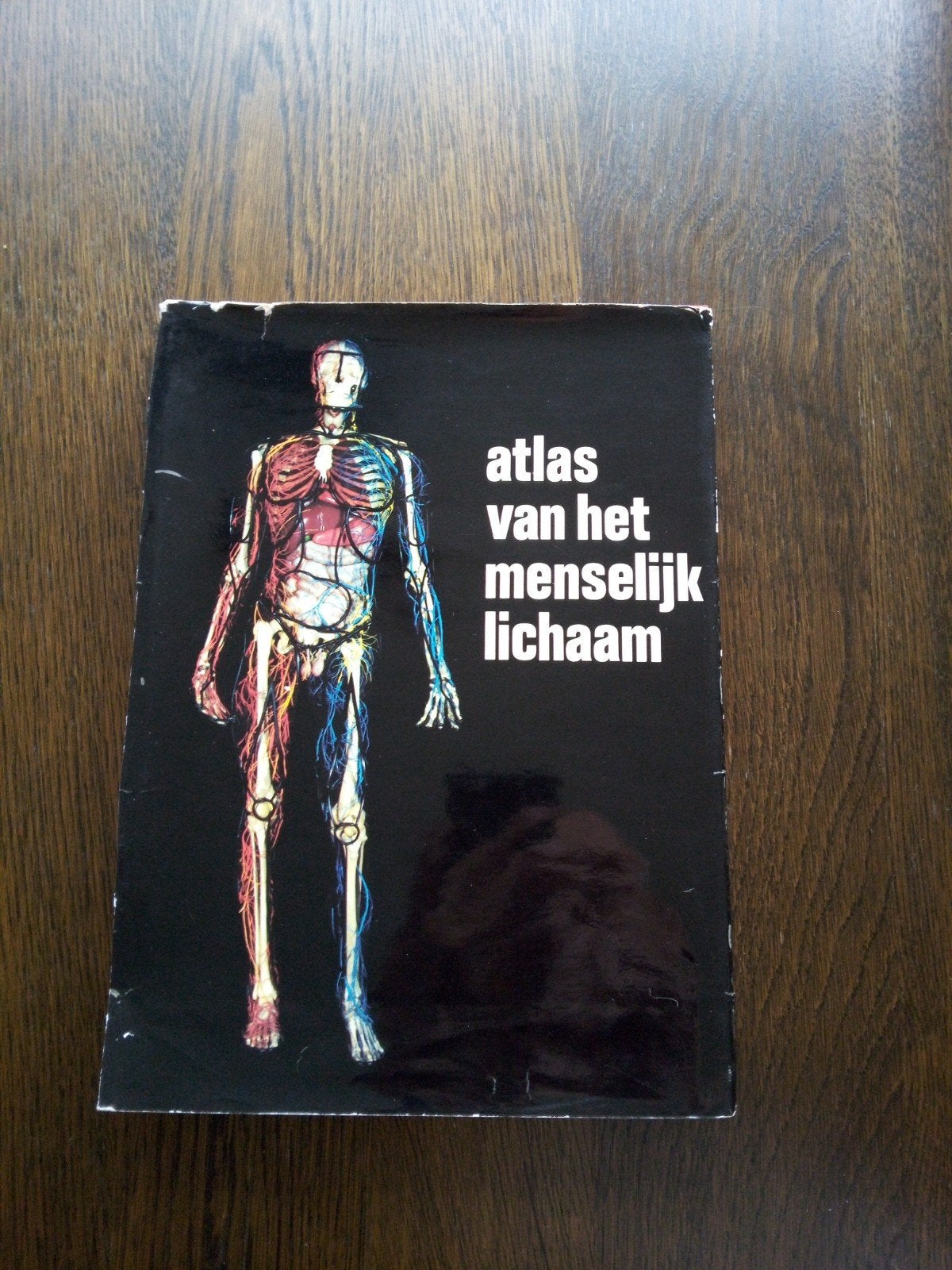 Atlas van het Menselijk Lichaam - Dr. J.P. Schade (1970), Boeken, Ophalen of Verzenden, Gelezen, Natuurwetenschap