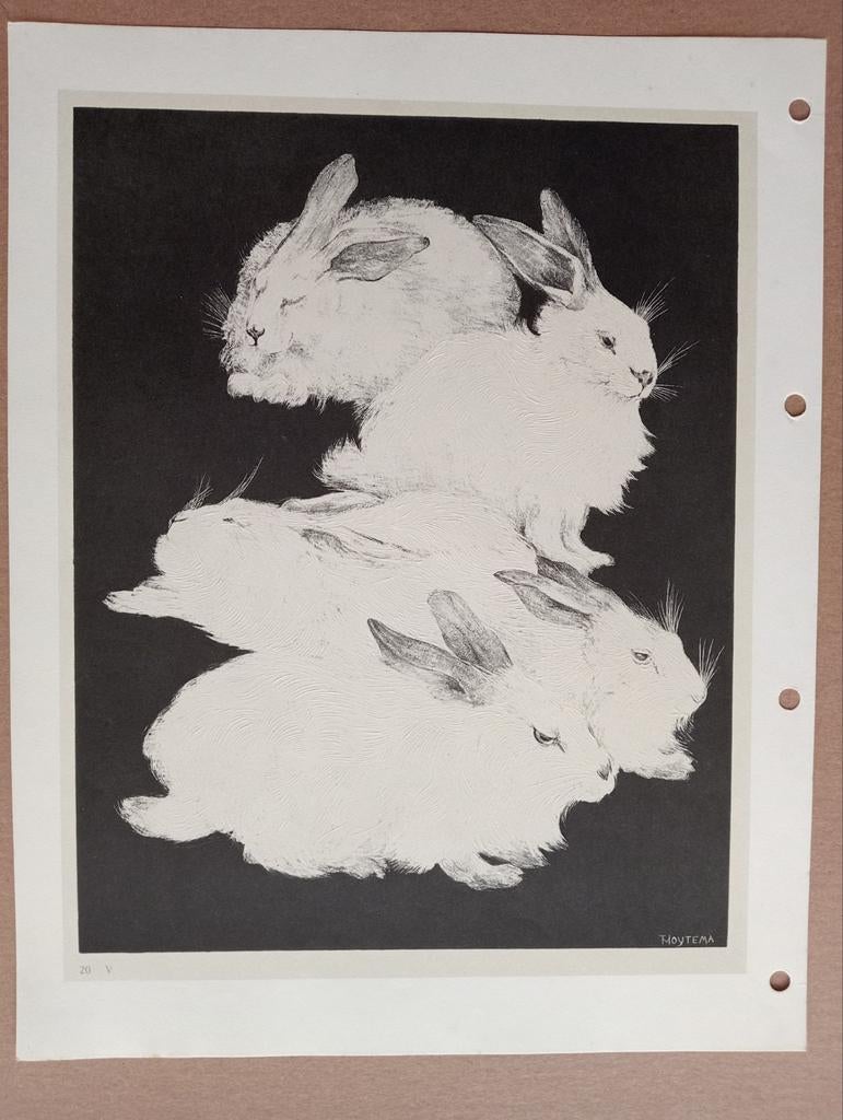 Theo van Hoytema Konijnen reliefdruk 1957, Ophalen of Verzenden, 1940 tot 1960, Gebruikt