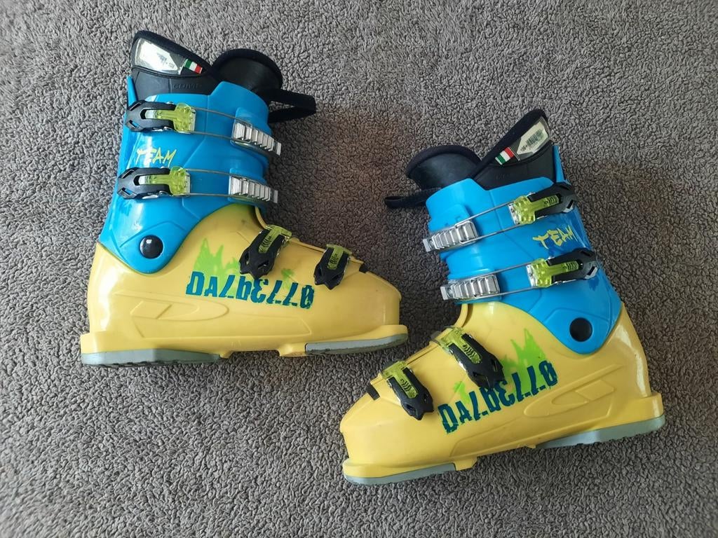 Dalbello skischoenen maat 25.0 (300 mm), Overige merken, Gebruikt, Schoenen, Ophalen of Verzenden