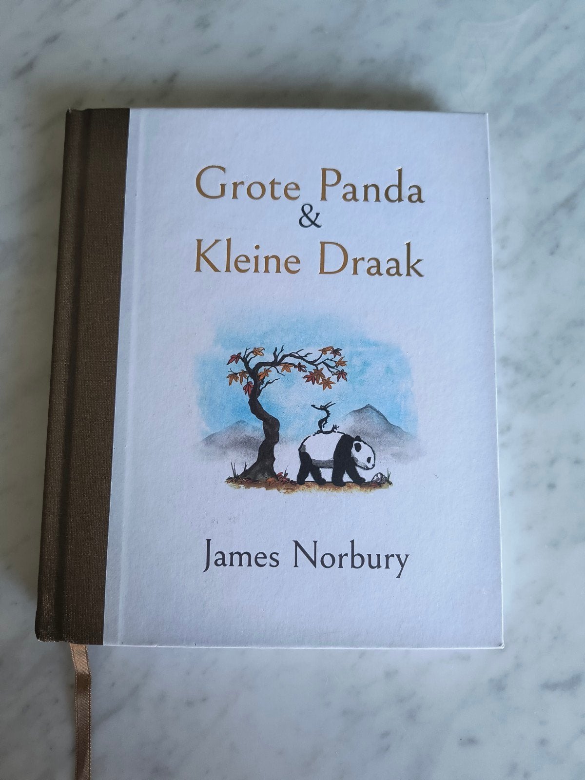 Boek: Grote Panda & Kleine Draak - James Norbury, Boeken, Ophalen of Verzenden