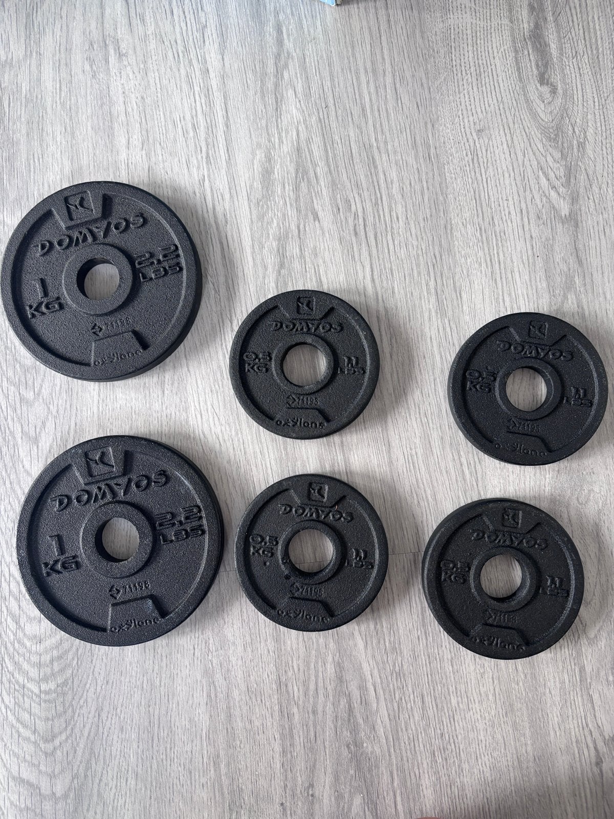 6 Halterschijven 0.5 en 1 kg, Ophalen, Zo goed als nieuw