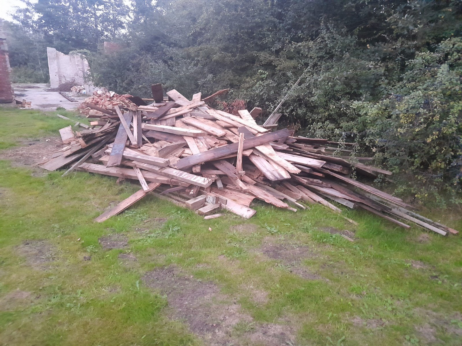GRATIS Brandhout / haardhout / hout, 6 m³ of meer, Ophalen, Blokken
