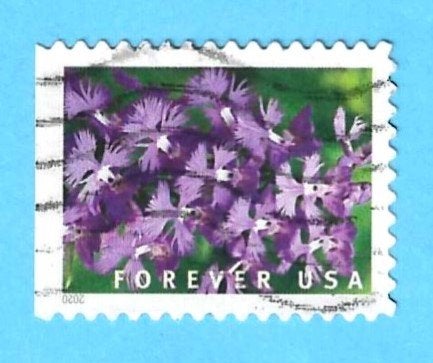 USA2020 - Orchidee, Verzenden, Gestempeld, Midden-Amerika