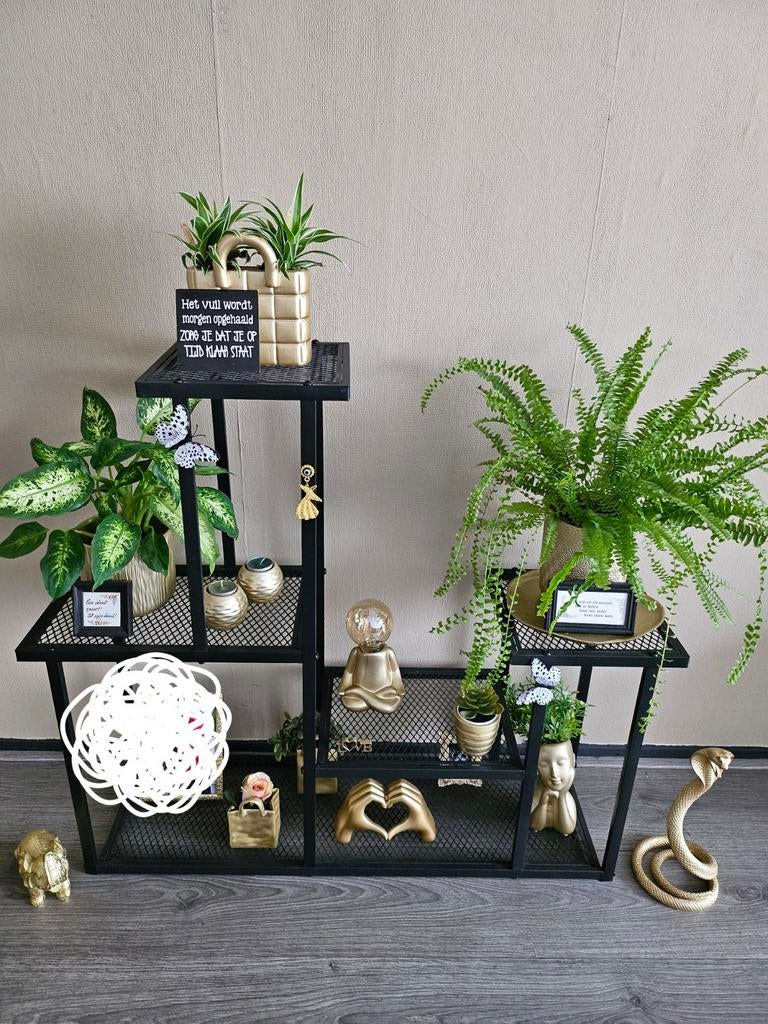 Planten tafel, Ophalen