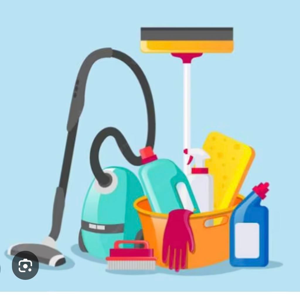 Schoonmaak werk gezocht, 33 - 40 uur, Vanaf 10 jaar, Overige vormen