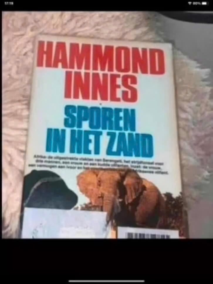 Sporen in het Zand - Hammond Innes, Boeken, Gelezen, Europa overig, Hammond Innes, Ophalen of Verzenden