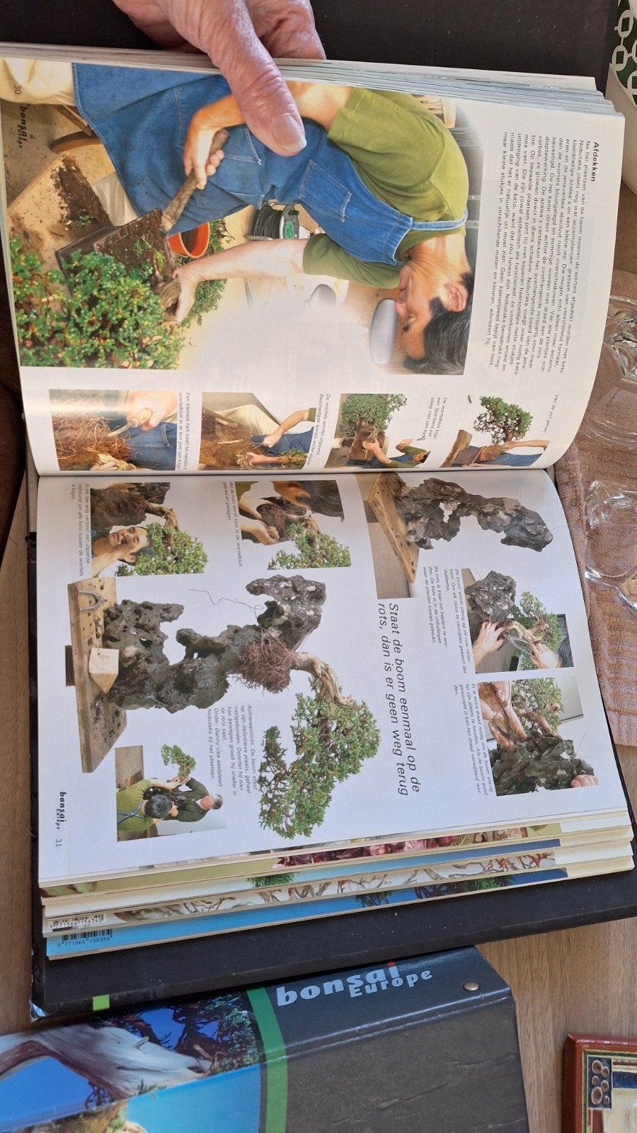 mooie boekjes over bonsai boompjes, Ophalen, Zo goed als nieuw, Bloemen, Planten en Bomen