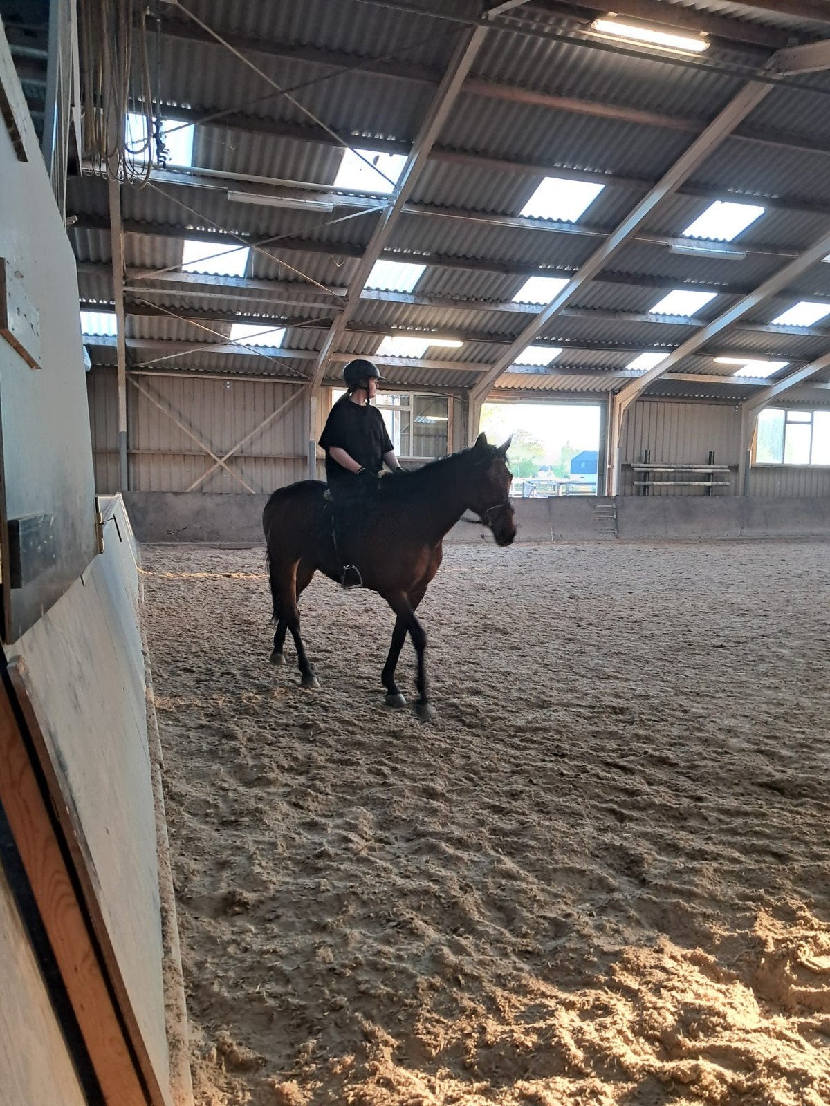 Bijrijd/lease paard gezocht, Dieren en Toebehoren, Ophalen of Verzenden