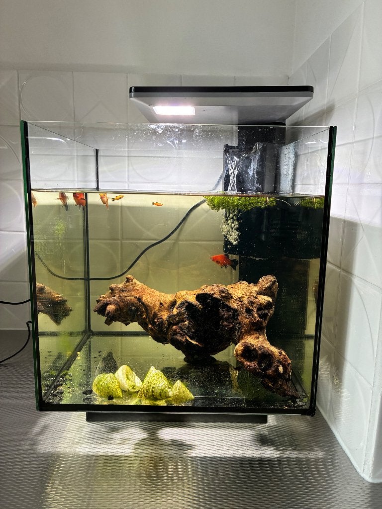Aquarium / vissenkom, Dieren en Toebehoren, Ophalen, Zo goed als nieuw, Leeg aquarium, Superfish