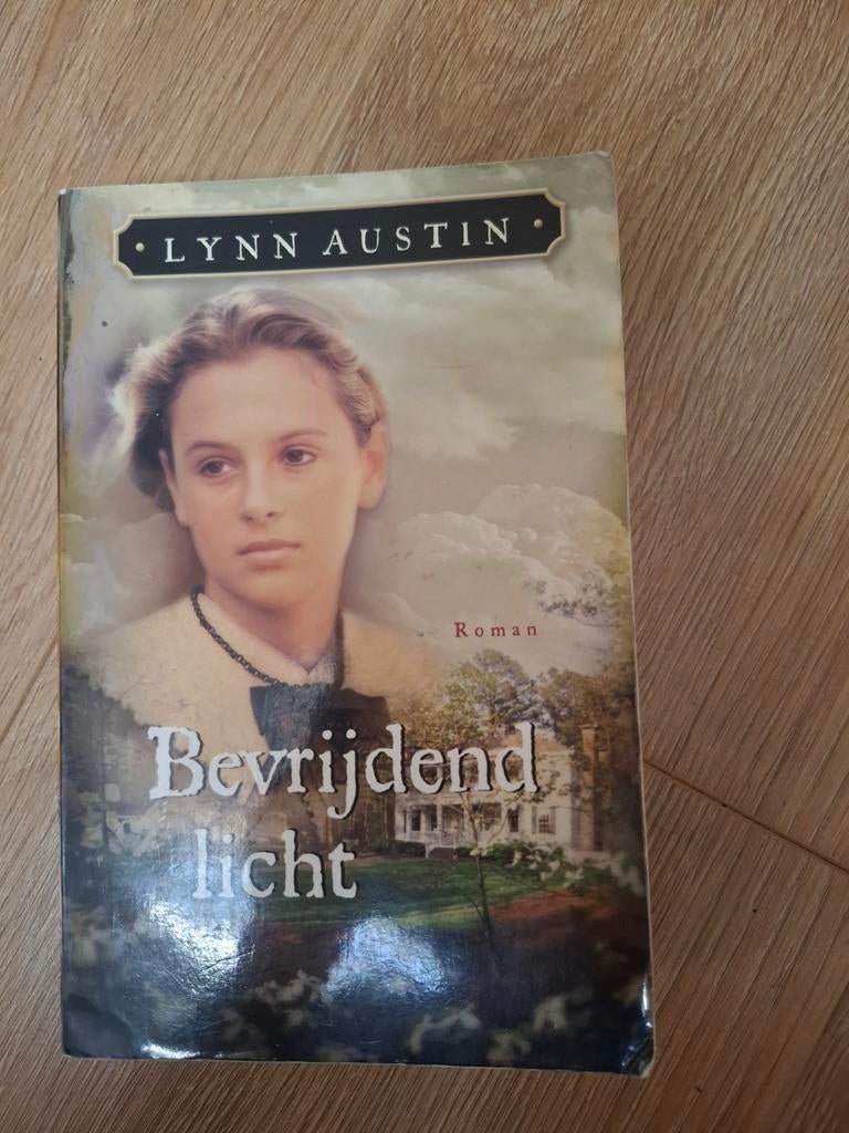 Bevrijdend Licht - Lynn Austin Roman, Boeken, Ophalen of Verzenden, Gelezen, Lynn Austin, Amerika