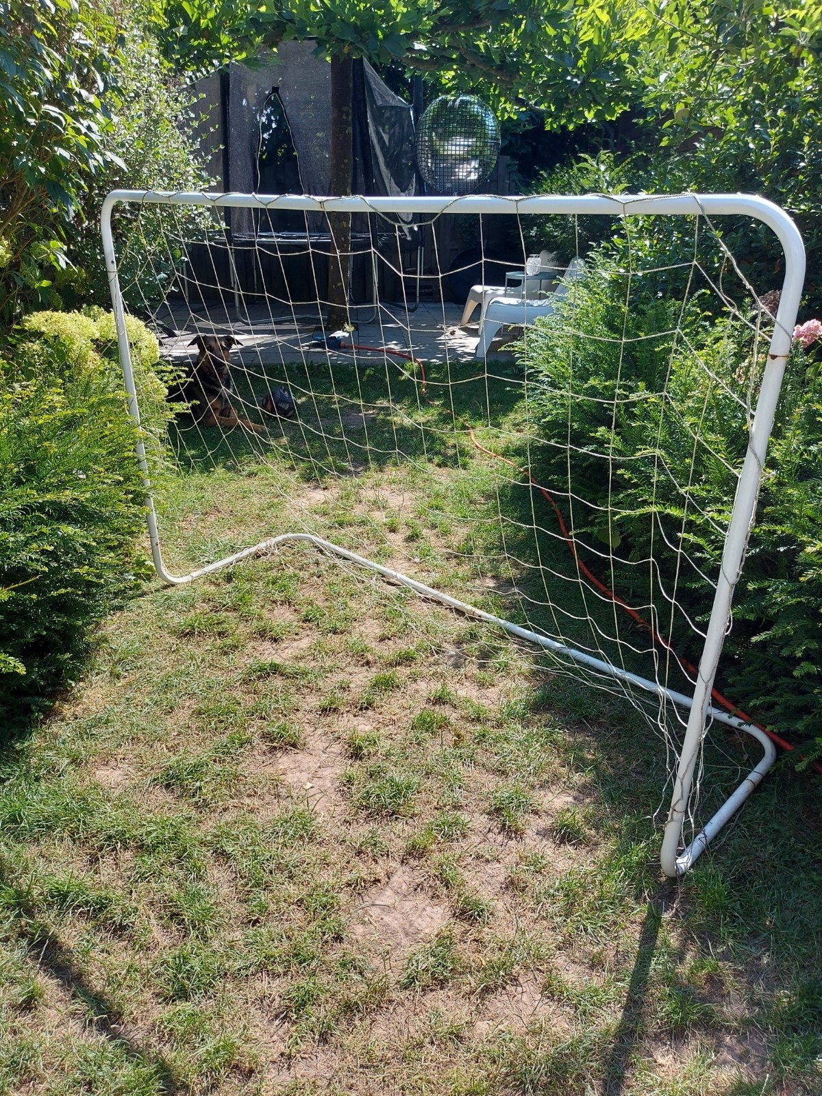 Voetbal goal, Sport en Fitness, Groter dan maat XL, Ophalen, Gebruikt, Overige typen