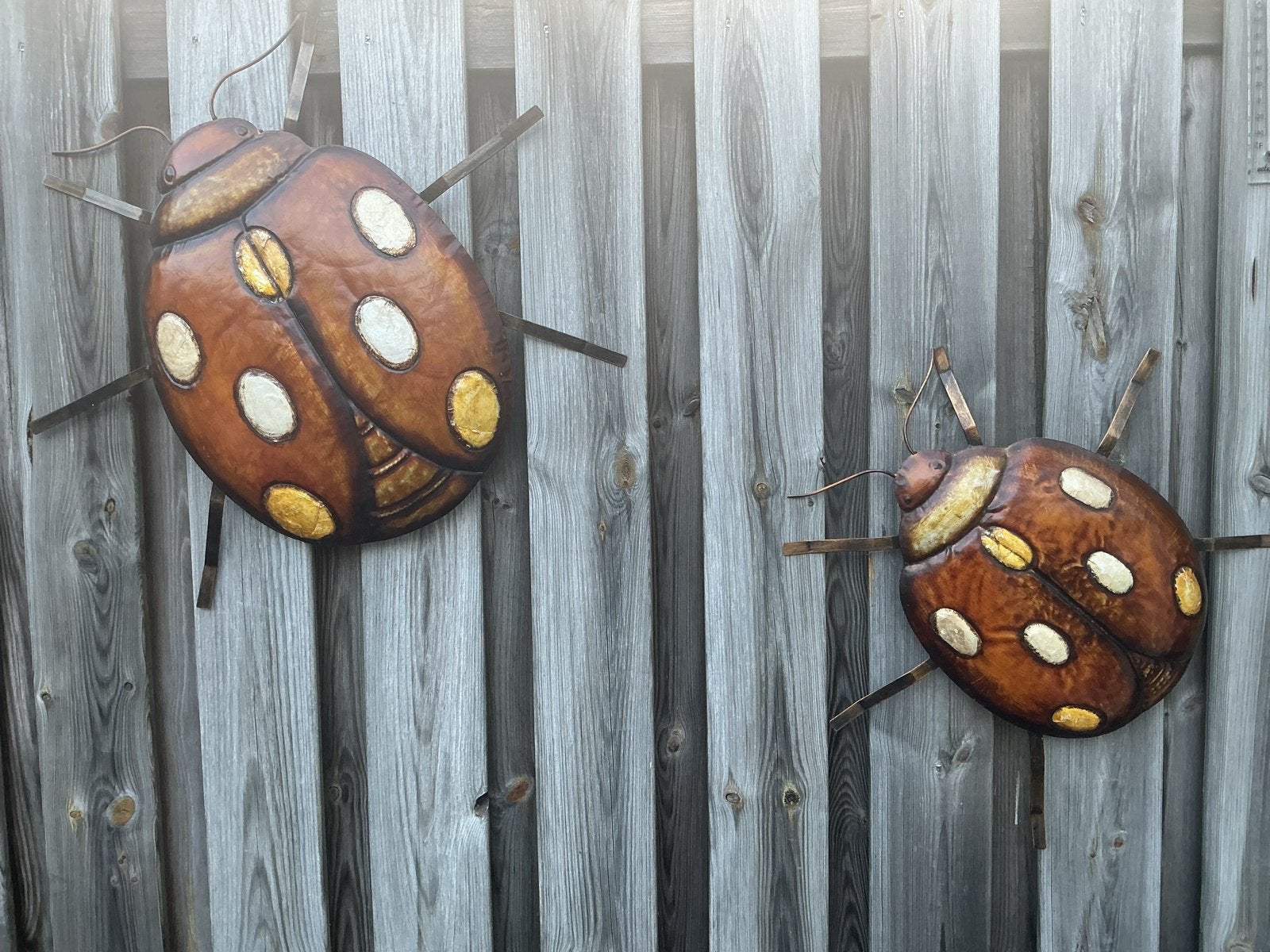 Decoratieve Lieveheersbeestjes voor huis of tuin, Tuin en Terras, Tuinwanddecoratie, Ophalen, Zo goed als nieuw