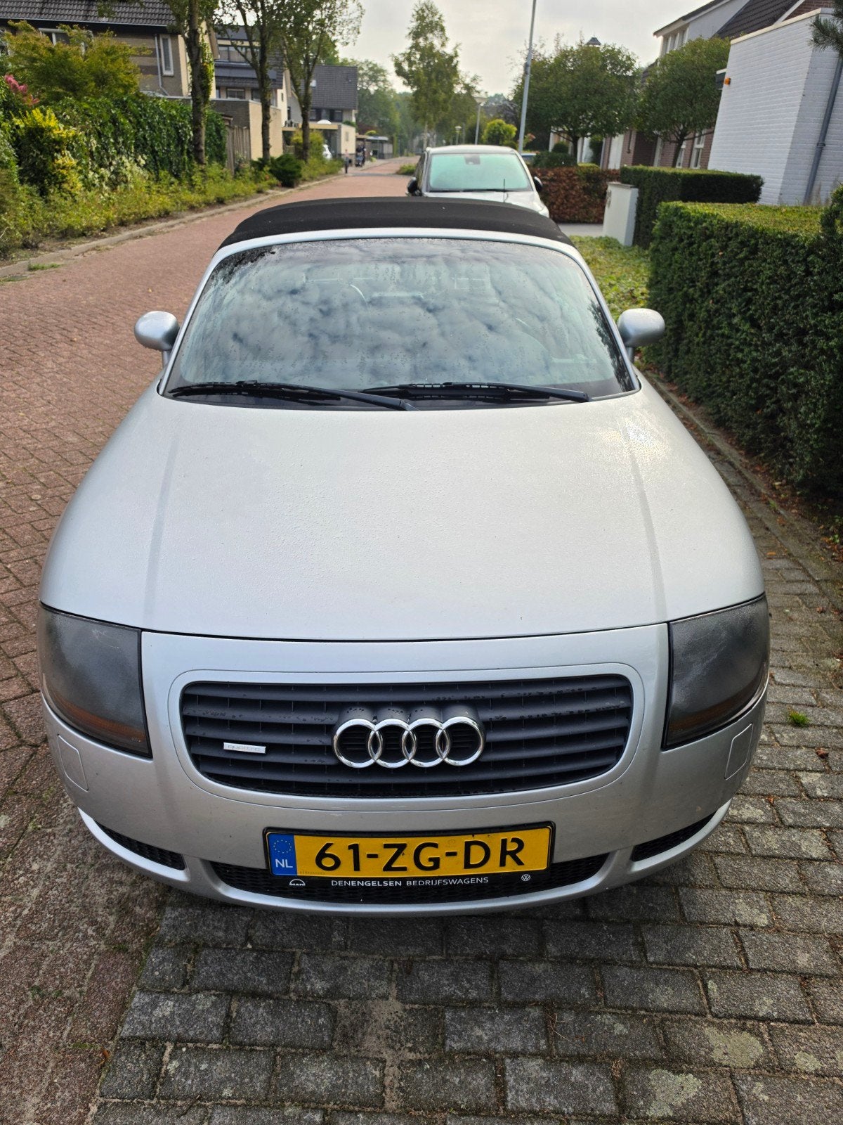 Audi TT 1.8 T Roadster Quattro 165KW 1999 Grijs, TT, Zwart, 4 cilinders, Cabriolet
