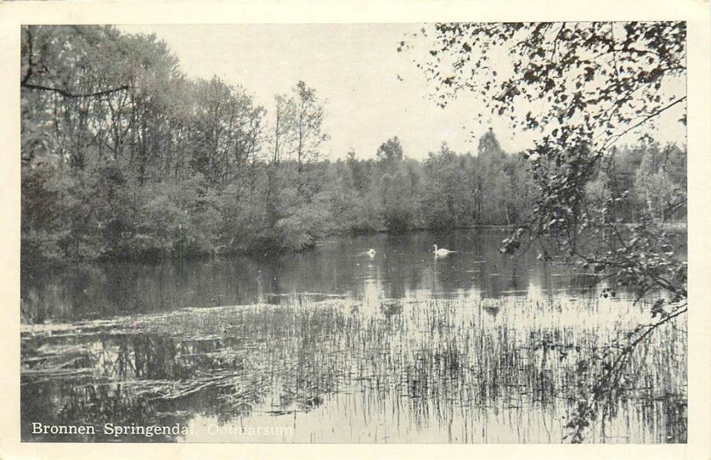 388-456-041 Ootmarsum Bronnen Springendal, Verzenden, Voor 1920, Overijssel