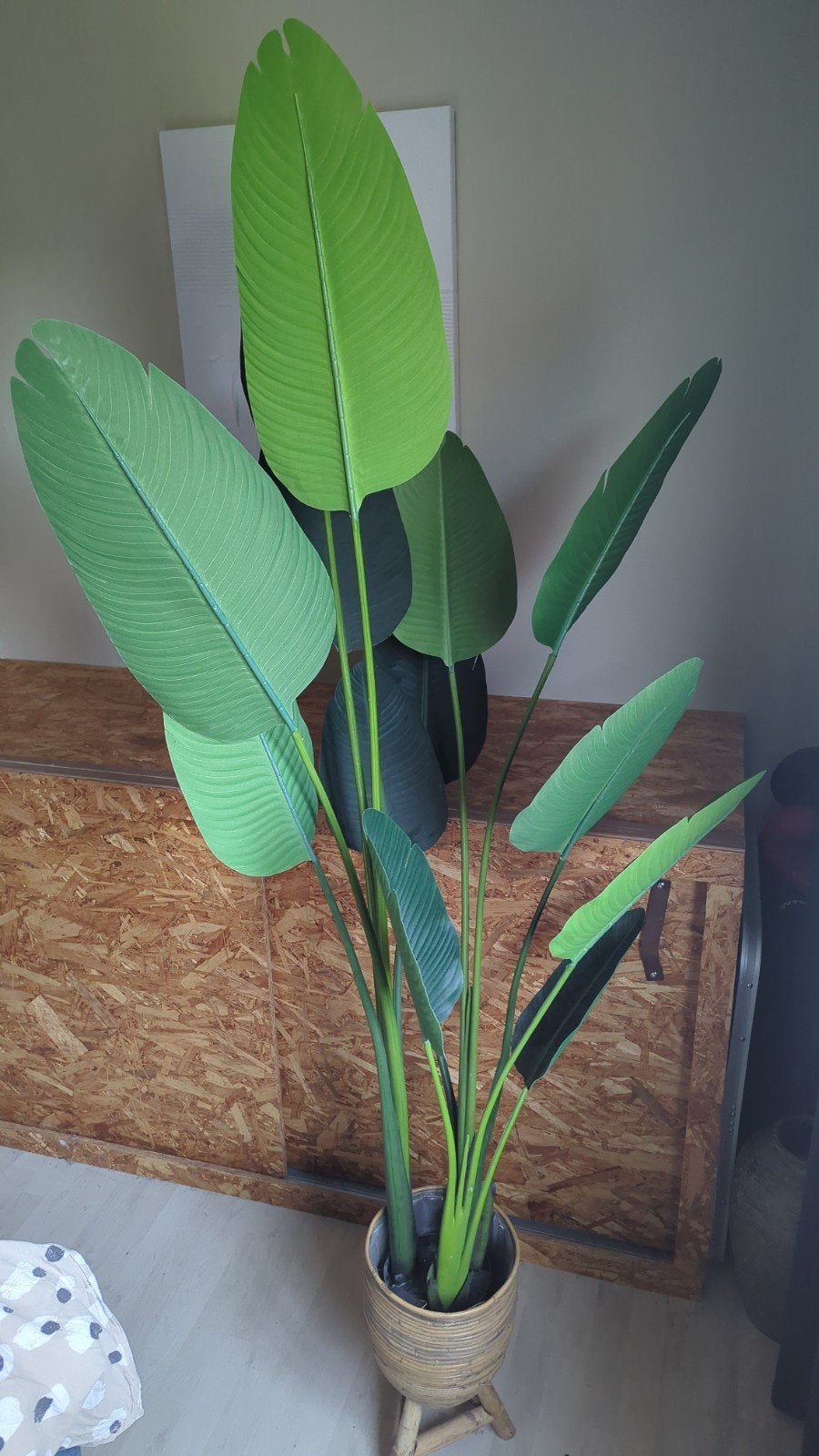 Kunstplant, Huis en Inrichting, Kamerplanten, Ophalen, Halfschaduw, Minder dan 100 cm