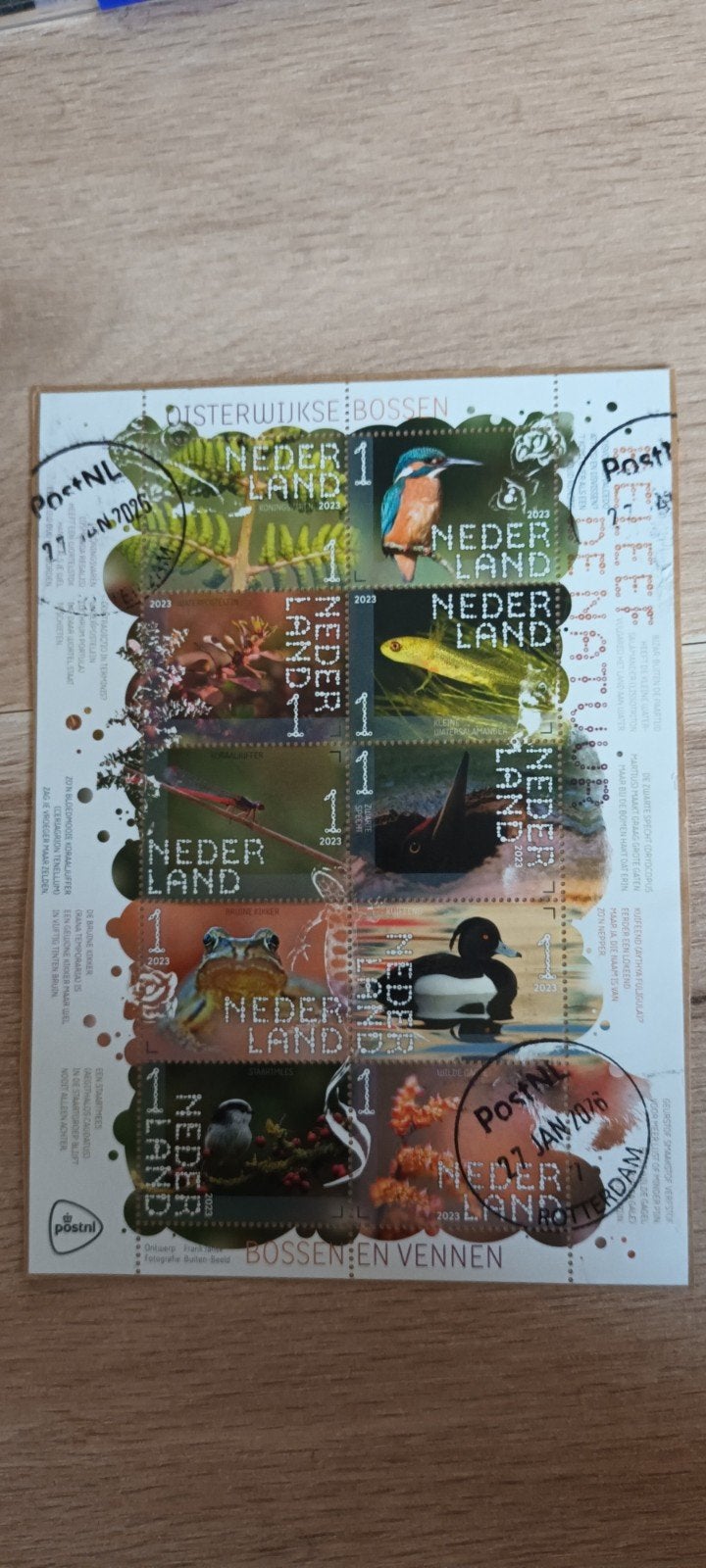PRACHTIG VELLETJE BELEEF DE NATUUR GESTEMPELD OP PAPIER, Ophalen of Verzenden