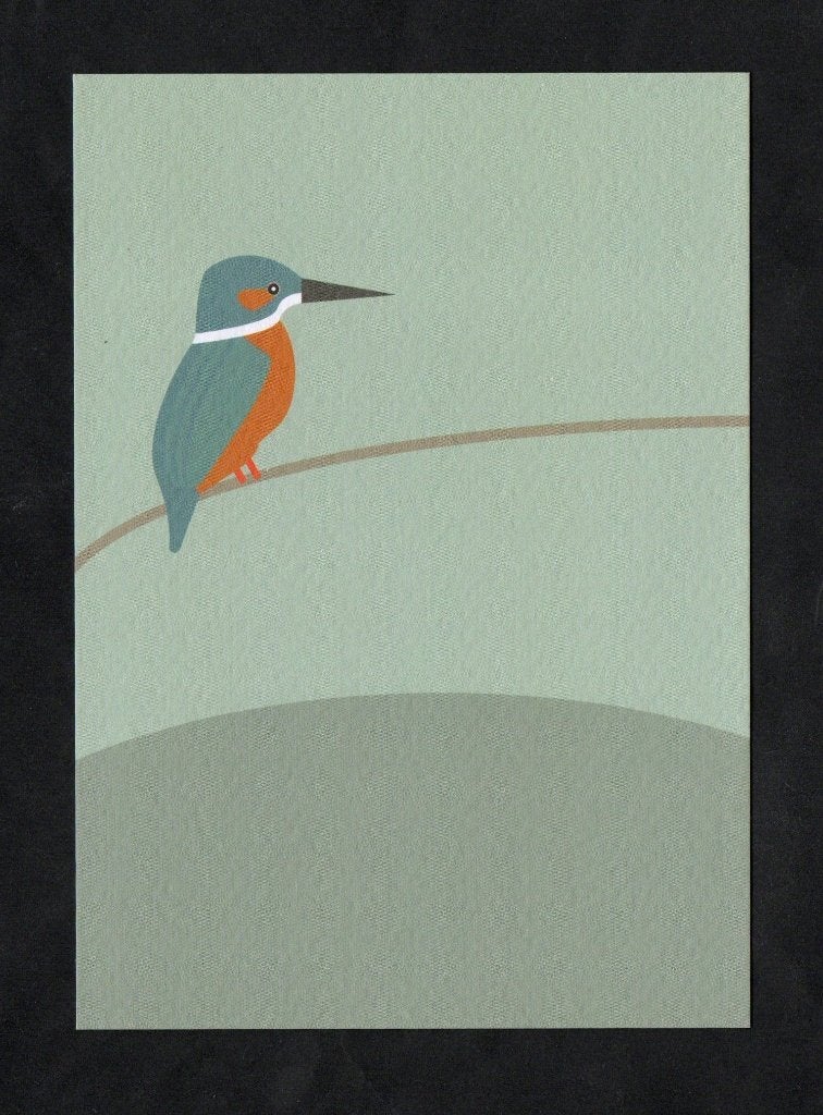 Ansichtkaart IJsvogel King Fisher Alcedo Atthis., Ophalen of Verzenden, 1980 tot heden, Ongelopen, Vogel