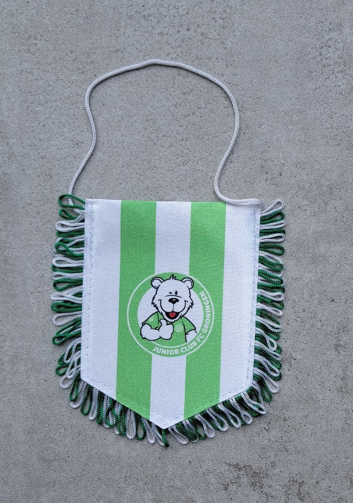vaantje FC Groningen, Verzamelen, Ophalen of Verzenden, Gebruikt, Overige binnenlandse clubs, Vaantje of Sjaal