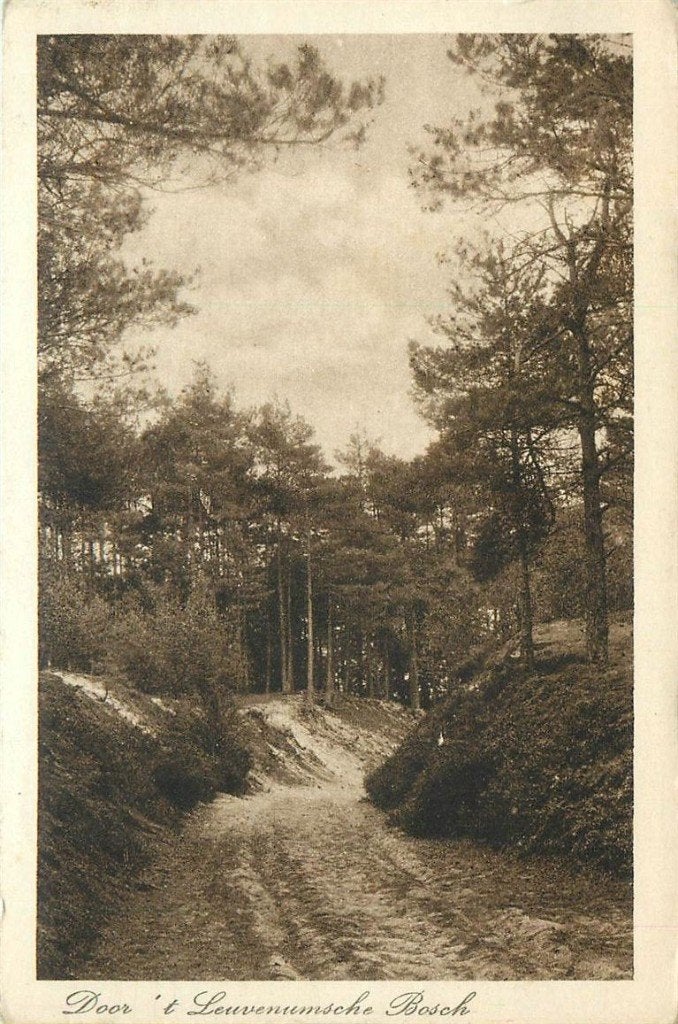 701-390-027 Leuvenum, Verzenden, Voor 1920, Gelderland