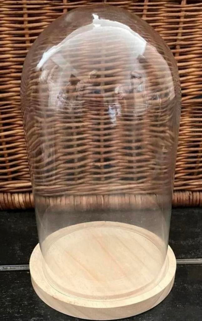 Glazen stolp om beeld in te plaatsen 33 cm hoog, Ophalen of Verzenden