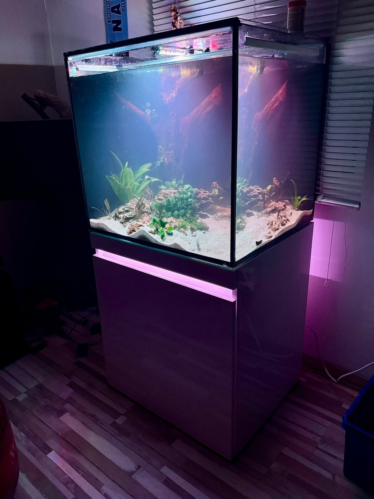 EHEIM Incpiria 230 Aquarium met onderkast met RGB., Ophalen, Gebruikt, Leeg aquarium, Inclusief deksel