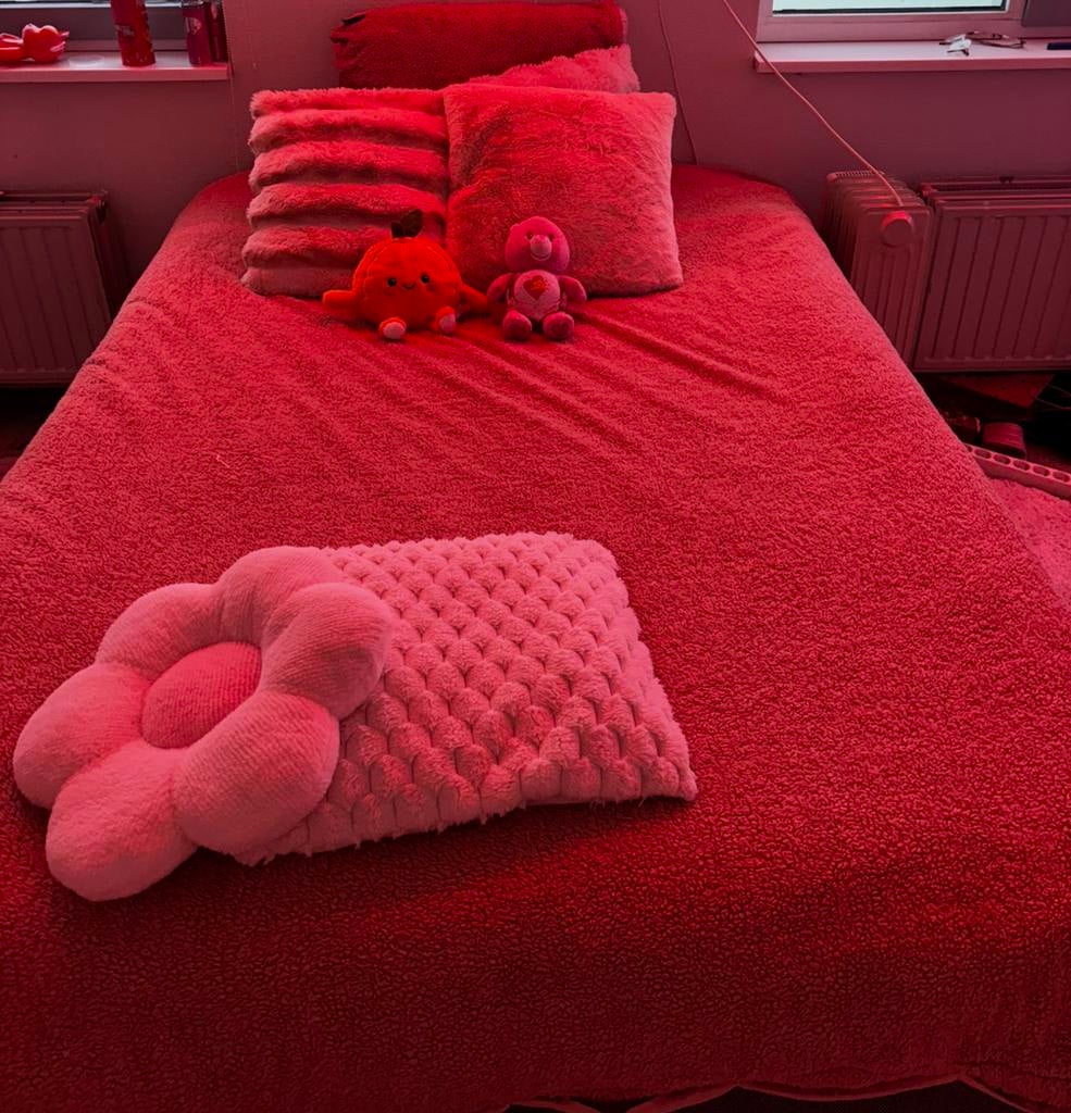 2 persoonsbed, Huis en Inrichting, Slaapkamer | Bedden, Gebruikt, Tweepersoons, 140 cm, 200 cm, Hout, Grijs, Ophalen
