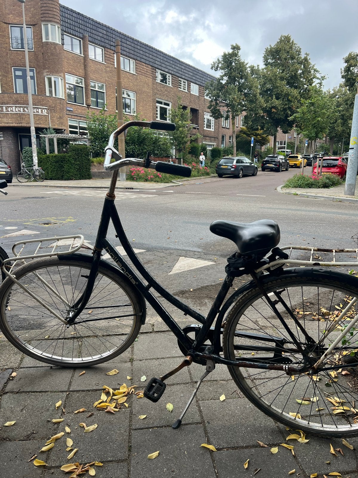 Damesfiets met rekje, Terugtraprem, Ophalen, Overige merken, 53 tot 56 cm