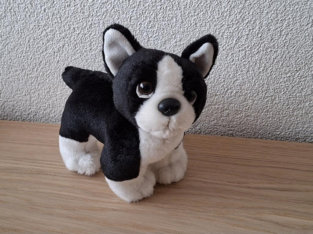 Franse Bulldog knuffel pluche 20cm in nieuwstaat, Overige merken, Overige karakters, Zo goed als nieuw, Middelgroot (20 tot 80 cm)