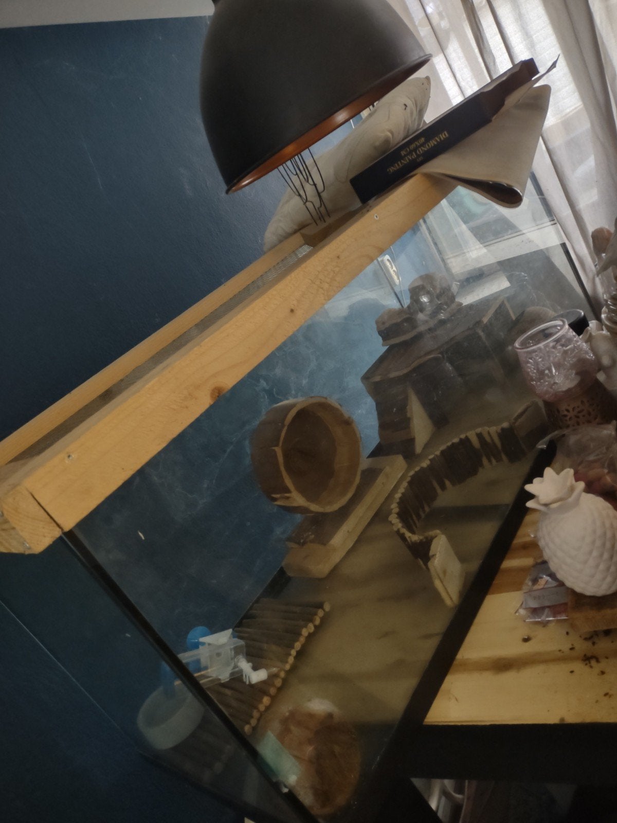 Gerbil hamster terrarium, Overige typen, Zo goed als nieuw, Hamster, 75 tot 110 cm