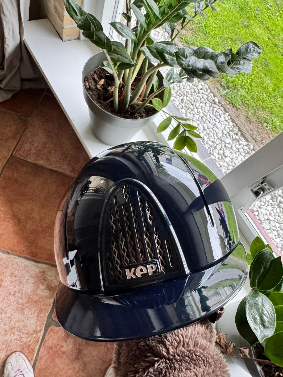Kep Italia Cromo SRL, Blauw, Kep Italia, Gebruikt, Dressuur
