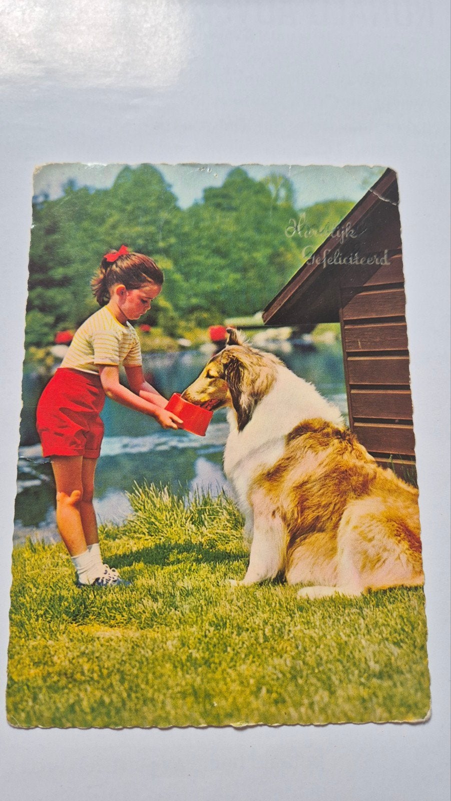 Vintage Ansichtkaart: Meisje met Collie Lassie, Ophalen of Verzenden, 1940 tot 1960, Gelopen