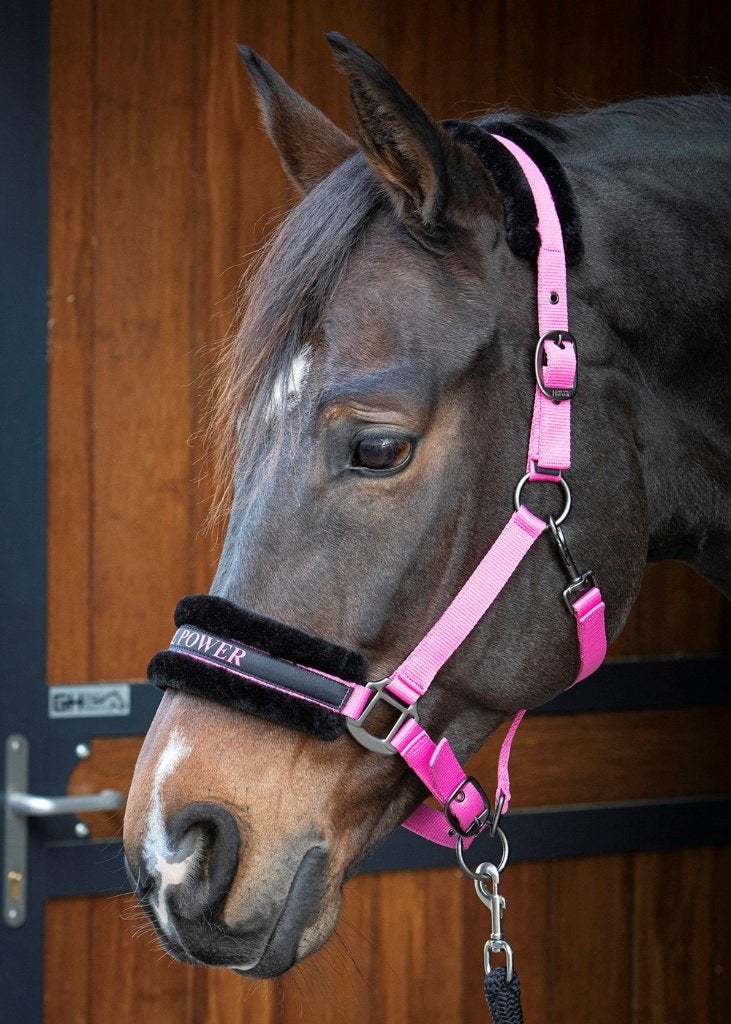 Harry's Horse Halster Lyrics Quotes, met "GIRL POWER", Dieren en Toebehoren, Harry's Horse, Verstelbaar, Nieuw, Ophalen of Verzenden