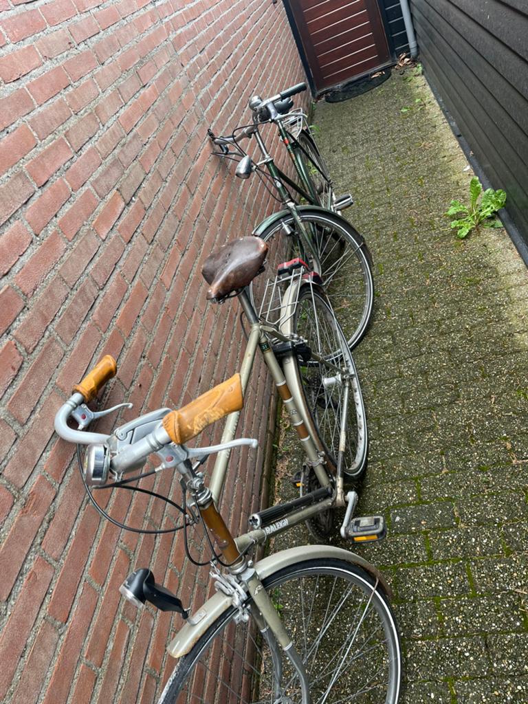 Twee gebruikte fietsen: Raleigh en Batavus, Fietsen en Brommers, Fietsen | Heren | Herenfietsen, Ophalen, Gebruikt, Velgrem, Versnellingen