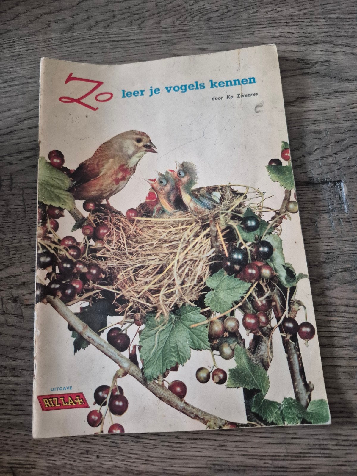 Zo leer je vogels kennen - Ko Zweeres (Rizla), Ophalen of Verzenden, Gelezen, Vogels, Ko Zweeres