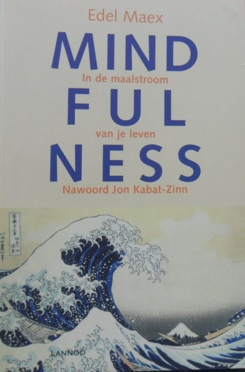 Mindfulness. In de maalstroom van je leven, Edel Maex, Boeken, Esoterie en Spiritualiteit, Zo goed als nieuw, Overige typen, Spiritualiteit algemeen