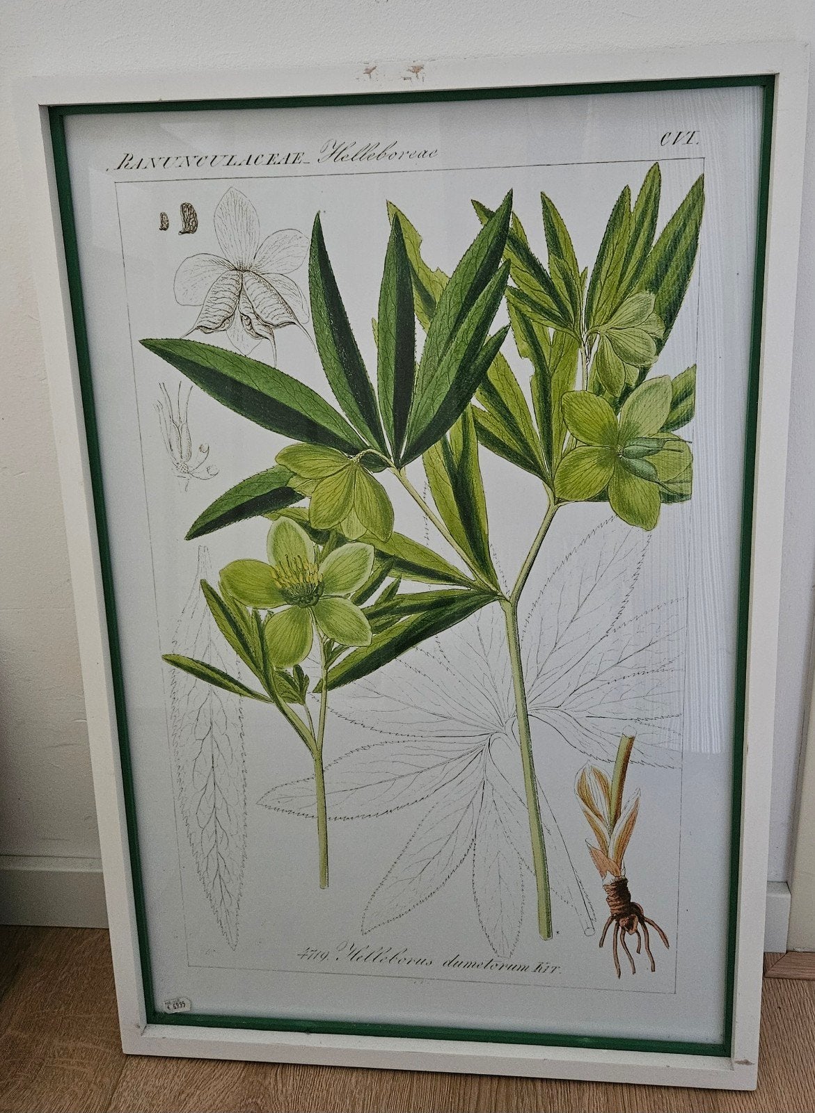 Ingelijste tekeningen, Ophalen, 50 – 75, Gebruikt, Tekening