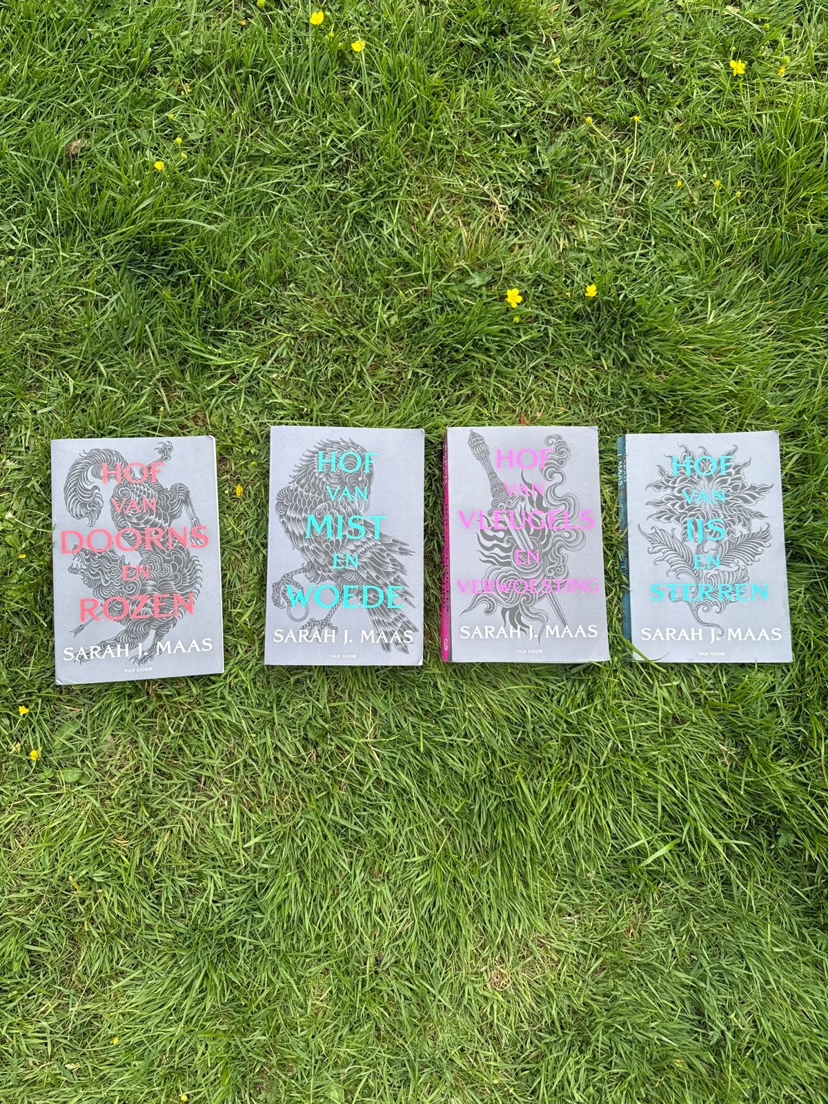 Hof van Doorns en Rozen serie - Sarah J. Maas (4 boeken), Boeken, Ophalen of Verzenden, Zo goed als nieuw