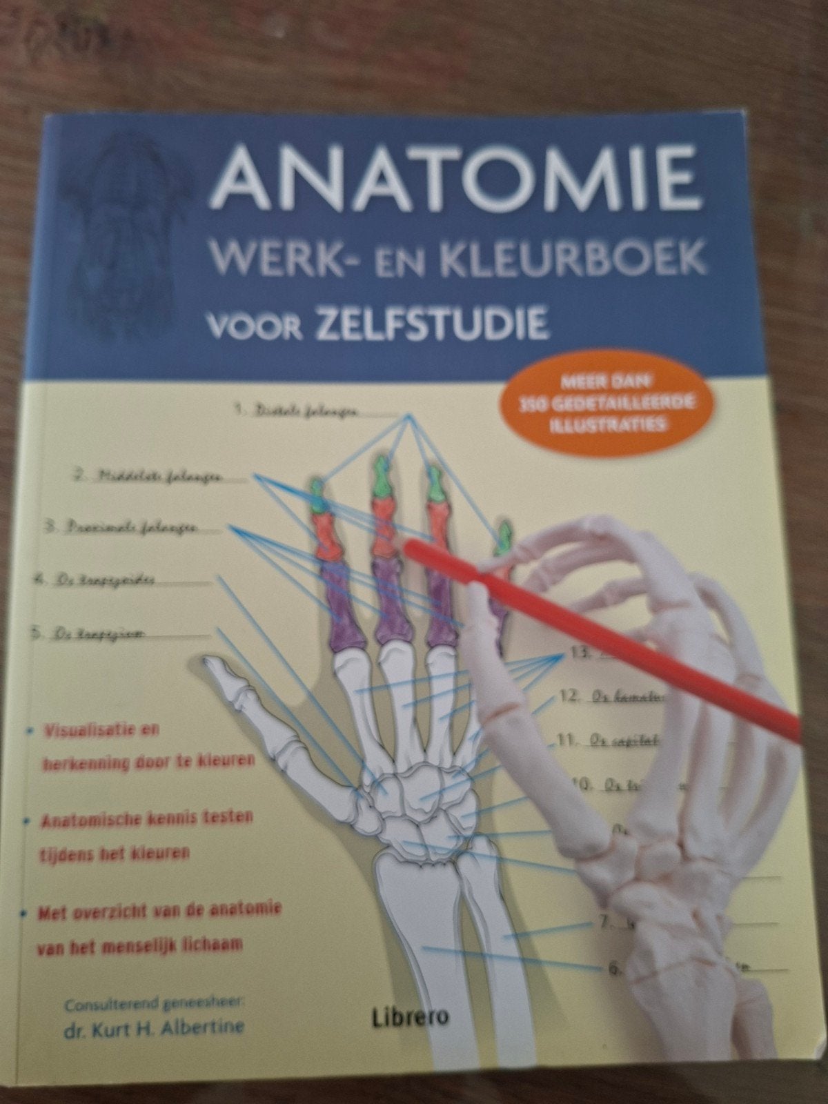 Anatomie Werk- en Kleurboek voor Zelfstudie, Boeken, Zo goed als nieuw, Kurt H. Albertine, Beta, HBO
