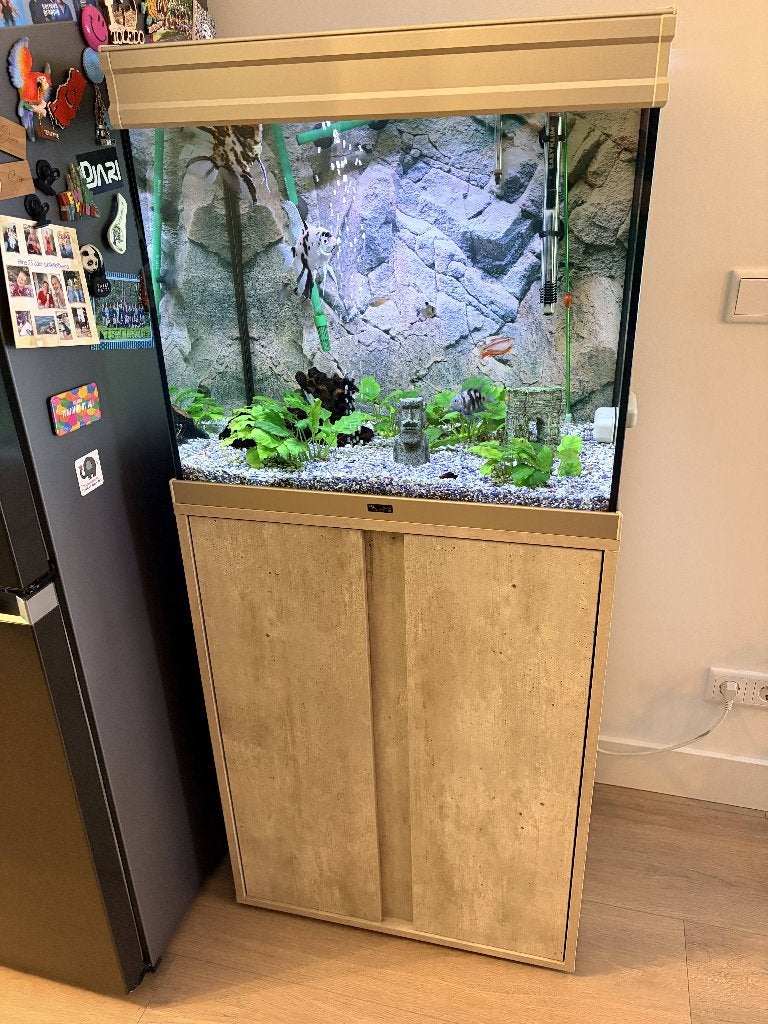 Aquatlantis Splendid 60 Ultra Aquarium + Meubel + Eheim filt, Dieren en Toebehoren, Ophalen, Gebruikt, Aquatlantis, Leeg aquarium