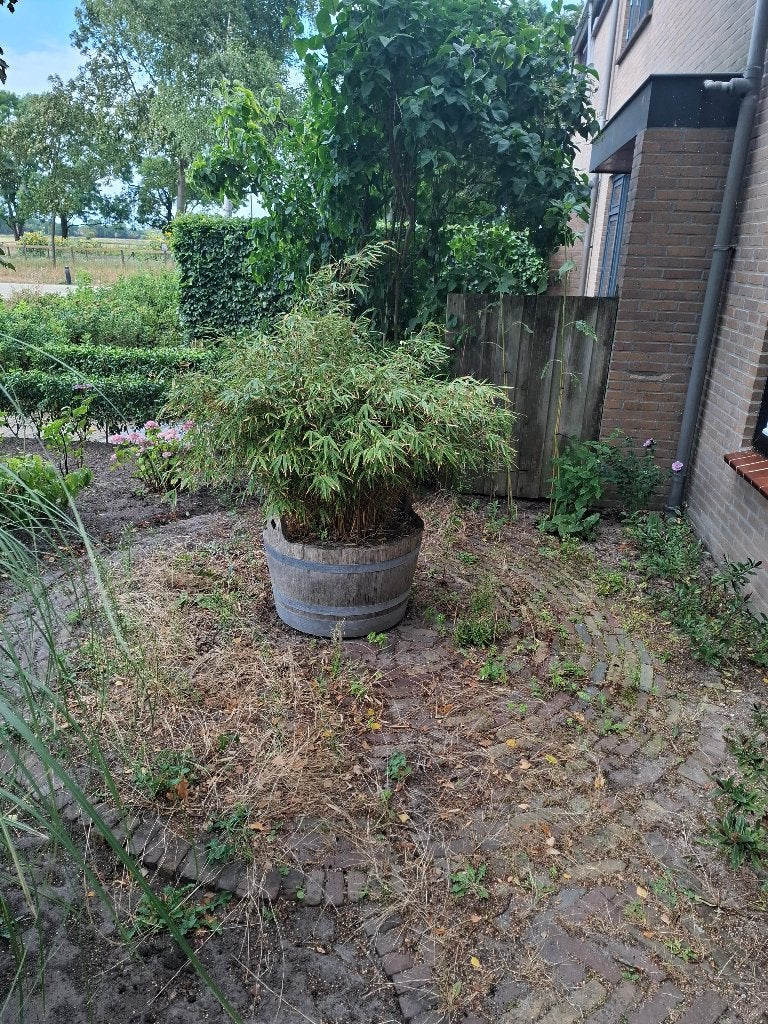 Half wijnvat plantenbak, Ophalen, Gebruikt, Rond, 60 tot 100 cm