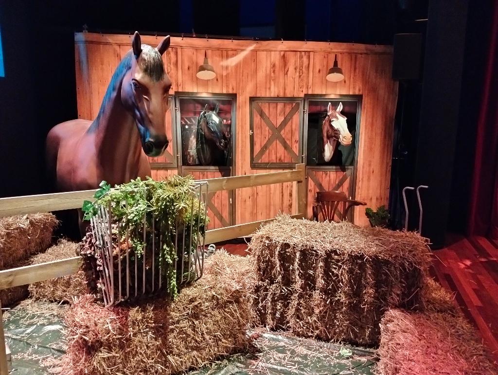 Manege decor verhuur, decoratieverhuur, polyester paard, Verzenden, Zo goed als nieuw, Overige