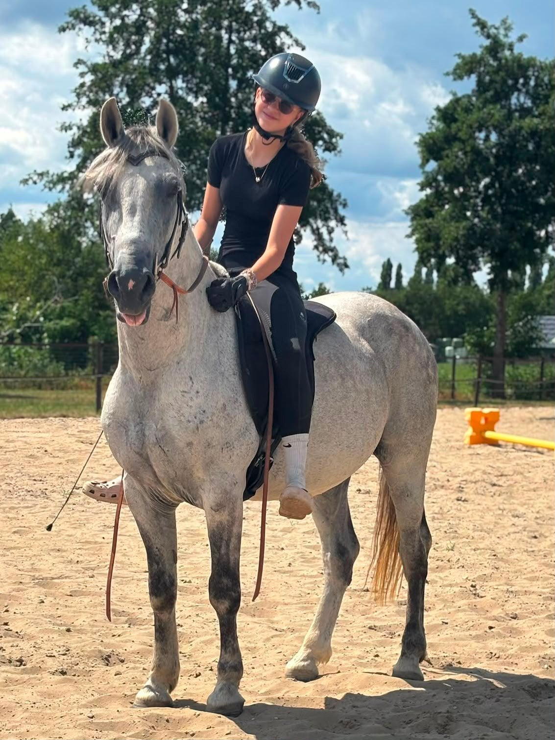Bomproof D pony ruin 1.48 7 jaar, Dieren en Toebehoren, Ruin