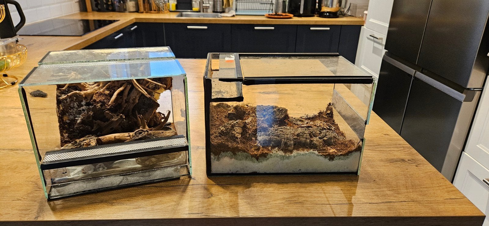 Terrarium, Ophalen
