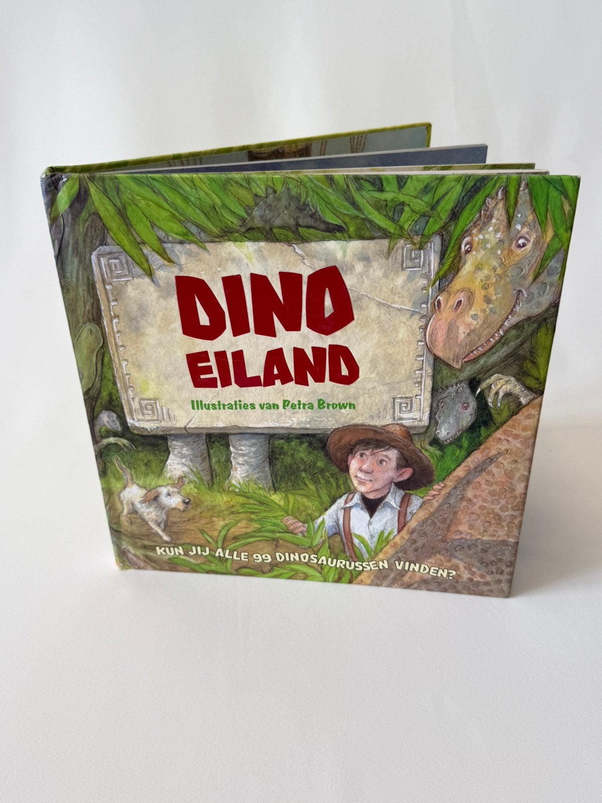Dino Eiland Petra Brown kinderboek, Boeken, Kinderboeken | Baby's en Peuters, Ophalen of Verzenden, Gelezen, 2 tot 3 jaar