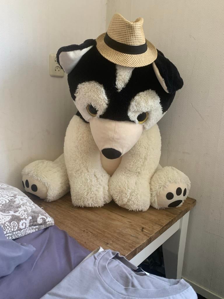 XXXL Husky Knuffelhond ZGAN!, Ophalen, Hond, Zo goed als nieuw, Groot (groter dan 80 cm)