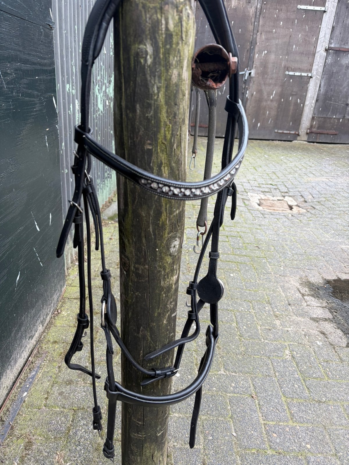 Nieuw Qhp hoofstel full zwart!!, Ophalen of Verzenden, Zo goed als nieuw, QHP, Full