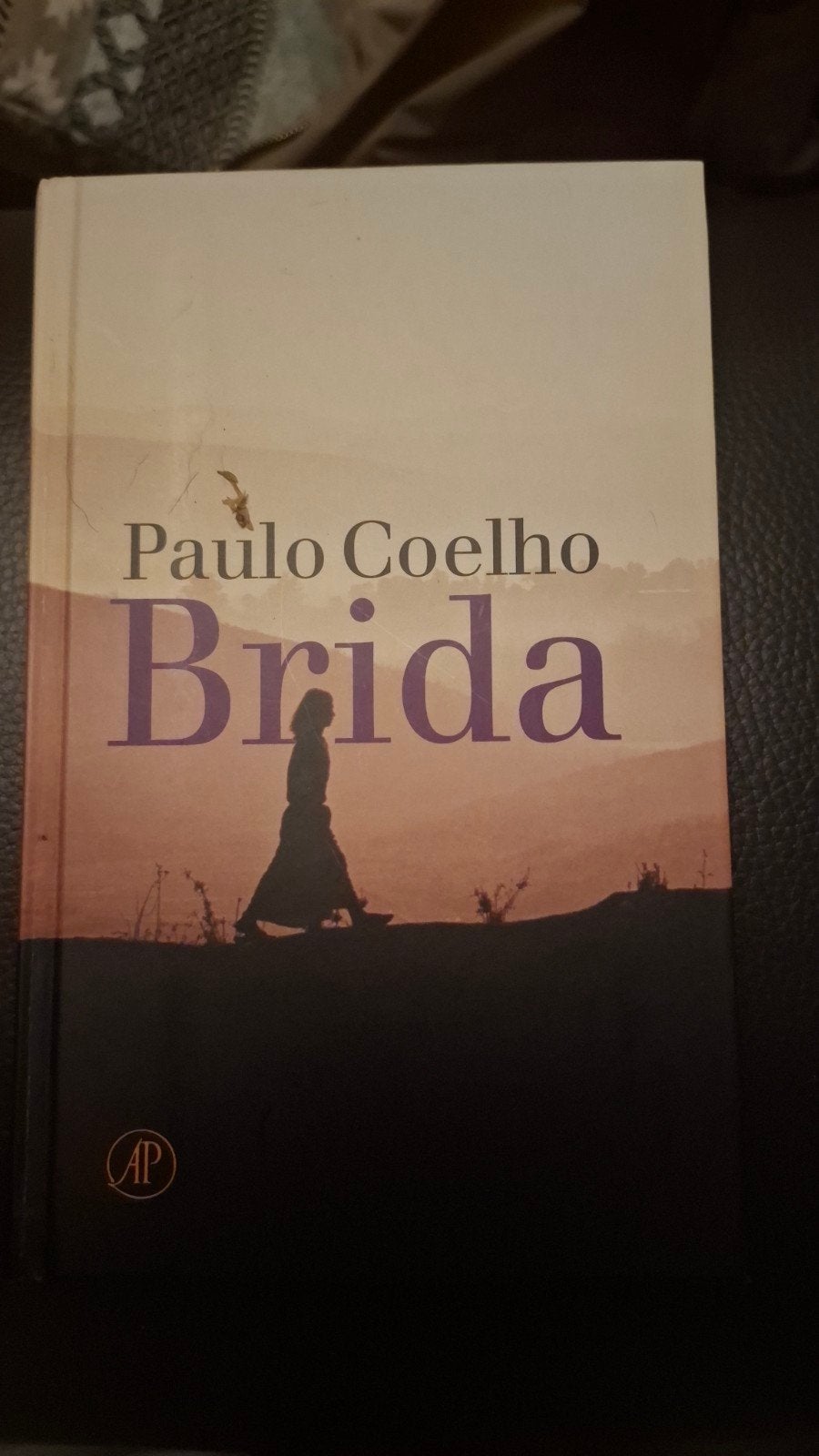 Brida - Paulo Coelho (roman), Ophalen of Verzenden, Zo goed als nieuw, Paulo Coelho, Nederland