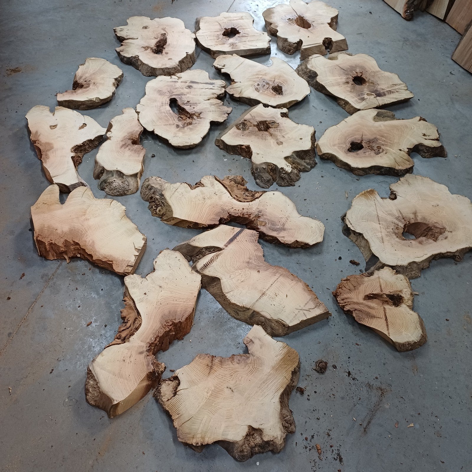 Boomstamschijven acacia, Doe-het-zelf en Verbouw, Hout en Planken, Plank, Overige houtsoorten, Minder dan 200 cm, Minder dan 25 mm